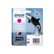 EPSON cartridge T7603 Vivid Magenta (kosatka)