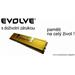 EVOLVEO Zeppelin DDR III 16GB 1600 MHz KIT 2x8GB CL11, GOLD, box, doživotní záruka