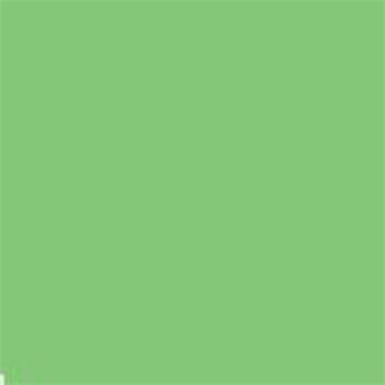 Falcon Eyes papírové pozadí 2,75m x 11m - Zelená letní (73)