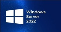 FUJITSU Windows 2022 - WINSVR CAL 100User