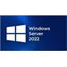 FUJITSU Windows 2022 - WINSVR CAL 1User