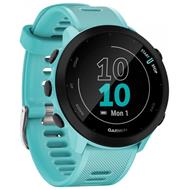 GARMIN GPS sportovní hodinky Forerunner 55 Blue