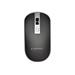 GEMBIRD MUSW-4B-06-BS Wireless optical mouse black-silver