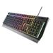 Genesis herní klávesnice RHOD 300 CZ/SK layout, 7-zónové RGB podsvícení
