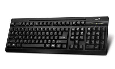 GENIUS klávesnice KB-125, USB, CZ+SK black (černá)