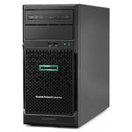 HPE PL ML30g10 E2224 (3.4G/4C) 16G 2x8TB SSD S100i 8SFF HP 500W1/2 NBD311