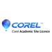 Corel Academic Site License Premium Level 3 One Year Premium