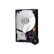 WD BLACK WD6003FZBX 6TB SATAIII/600 128MB cache 7200 ot. 