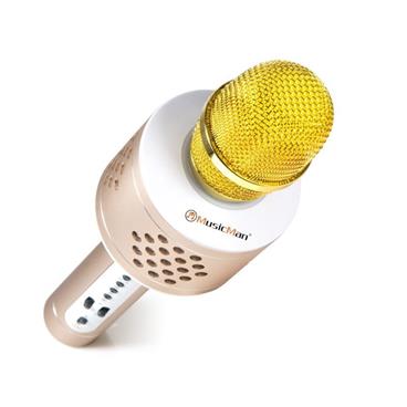 Karaoke set Technaxx BT X35 PRO bluetooth mikrofon,2x 3 W repro,stříbrná (BT-X35)