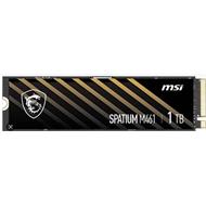 MSI SSD SPATIUM M461, 1TB, PCIe 4.0 NVMe M.2 HS