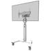 Neomounts Select FL50S-825WH1 / Mobile Display Floor Stand (37-75") 10 cm. Wheels / White