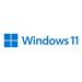 OEM sw MS Windows PRO 11 ENG for Workstations 64-bit DVD