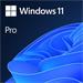OEM Windows 11 Pro 64Bit Eng 1pk DVD