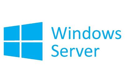 OEM Windows Server CAL 2019 CZ 1 Device CAL