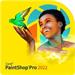 PaintShop Pro 2022 Corporate Edition License (2500+) - Windows EN/DE/FR/NL/IT/ES