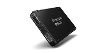 Samsung SSD PM1733 3,84TB NVMe U.2 (2,5"/15mm) PCI-E4/2PCI-E2 (g4) 1500/135kIOPS 7000/3500 MB/s 1DWPD Ice Lake ready