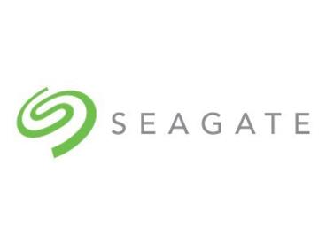 Seagate SkyHawk HDD, 2TB, SATAIII, 256MB cache, 5.900RPM