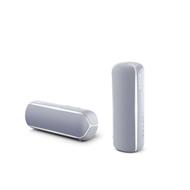 SONY SRS-XB22H Přenosný bezdrátový reproduktor s technologií Bluetooth, Silver