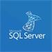 SQL CAL 2019 OLP NL GOVT User CAL