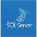 SQL Server Standard LicSAPk OLV NL 1Y AP