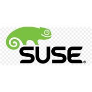 SUSE Linux Enterprise Server with Live Patching, x86-64, 1-2 Sockets with Unlimited Virtual Machines, Standard Subscript