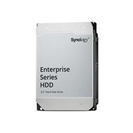 Synology HDD disk 3,5" SATA HAT5310-20T - 20TB