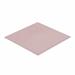 Thermal Grizzly Minus Pad 8 100x100x1,0 mm