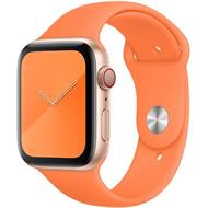 Watch Acc/40/Vitamin C Sport Band