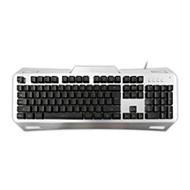 WHITESHARK klávesnice GLADIATOR, EN verze, podsvícení, Gaming Keyboard (pro hráče, EN layout)