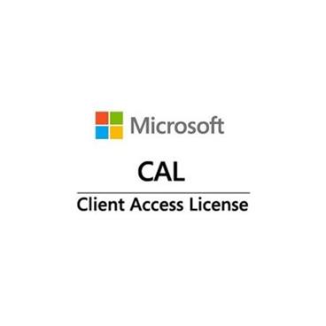 Win Server CAL 2022 (50 Device)